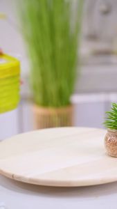 Sean Jaya CPM Voxy Storage S Set of 6 pcs