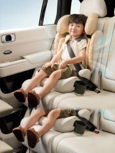 bebelock | Portable Ventilated Childrens Safety Seat