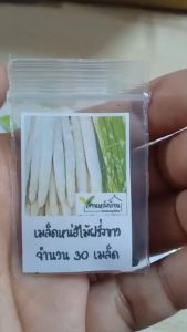 30 เมล็ด หน่อไม้ฝรั่ง เมล็ดหน่อไม้ฝรั่ง เมล็ดหน่อไม้ฝรั่ง หน่อไม้ฝรั่ง