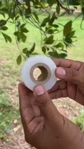 เทปพันกิ่ง กระเป๋าทาบ หน้ากว้าง 34ซม หนา เทปติดตาต้น คุณภาพดี