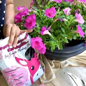 Mom Fairy Garden ดินกุหลาบผสมปุ๋ยขี้ม้า 5ลิตร/2กก. ดินผสมพร้อมปลูก สำหรับไม้ดอก  มีผลตรวจแลป