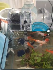 Aquarium Filter Waterfall Suspended Oxygen Pump Fish Tank External Filter External Water Pump