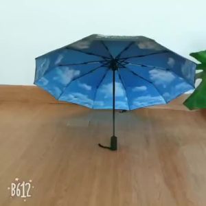 Automatic Folding Double-layer Umbrella