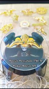 Pakar Brevet 09: Brevet TNI AL & Brevet Penyelam