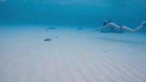 Selang Snorkel Pipa Snorkel Depan Pipa Nafas Renang Untuk Lomba Renang