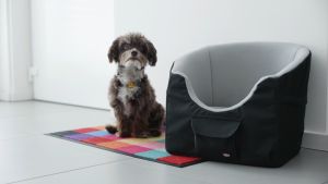 Car seat for small pets