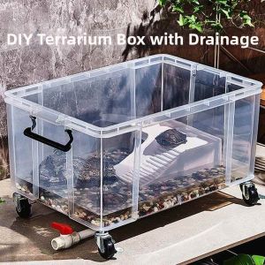 FEIZHUXIANSEN | Living Room Aesthetic and Filtered Turtle Tank