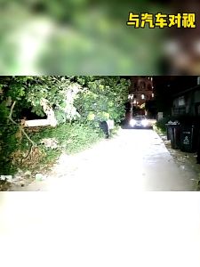 Lampu Senter Saku Gantungan Kunci NItecore TIP SE LED 700 Lumens Dual-Core P8 Rechargeable USB-C Built In Battery Lampu Lentera EDC