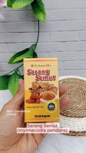 Kapsul Sarang Semut Papua Original - Obat Alami Penyakit Jantung & Stroke Ringan Maupun Berat