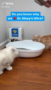 [nguyên seal 8.14kg] Dr.elsey cát vệ sinh cho mèo sản xuất tại Mỹ