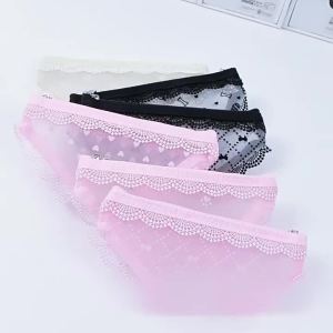 {V} Cute Underwear Shaped Cosmetic Bag Lace Mesh Transparent Makeup Storage Pouch Pencil Pouch Daily /Travel
