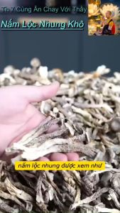 Nấm Lộc Nhung. Nấm Nhung Hươu Khô Loại 1 Cao Cấp. Đẹp Nhất Thị Trường ViP PRO. Túi 100G.200G.500G||HAMIFOODS