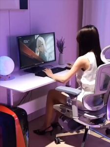 PRO V1 Fully Customizable Mesh Ergonomic Office Chair/Computer/Study/Gaming/Lumbar Support Chair