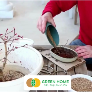 Đất Akadama Greenhome Bao 14Lít (8-9Kg) (Loại Mềm) Giá Thể Bonsai Kiểng Lá Sen Đá Phân Nền Thủy Sinh Nhiều Dưỡng Chất