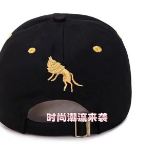 Penghantaran dari China [2025] Topi Totem Uniseks Kasual Bera Sukan Topi Besbol a Korea Luar Fesyen Topi Matahari Topi Besbol Teduhan Matahari 3.1