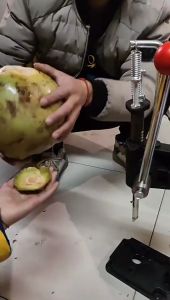 Commercial Stainless Steel Knife Coconut Opener with Punch and Tool