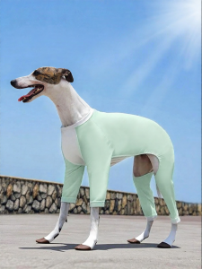 Touchdog | Quần Áo Làm Mát Chống Nắng Cho Chó