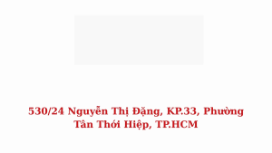 Đầu đọc + Cảm biến Freestyle