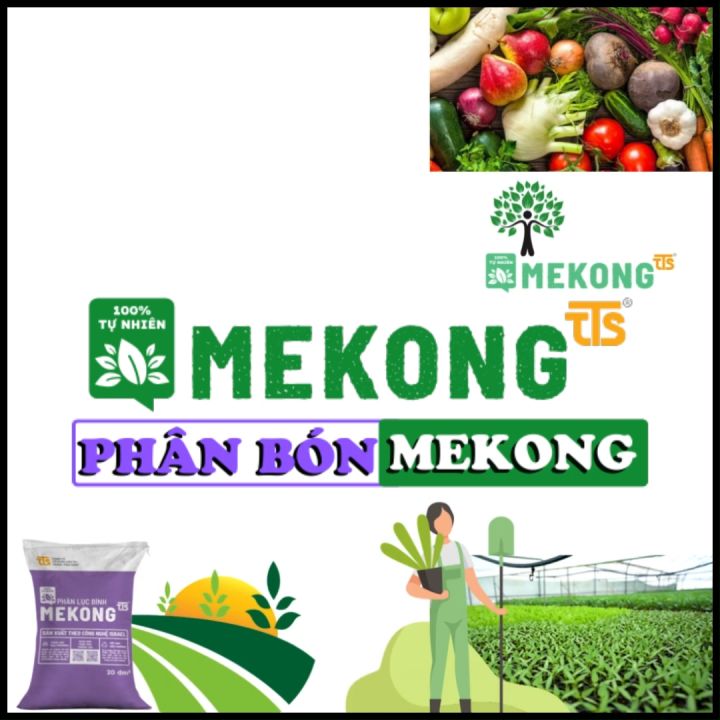 Đất sạch trồng xương rồng, sen đá Mekong túi 05dm3 – Phối trộn từ các ...