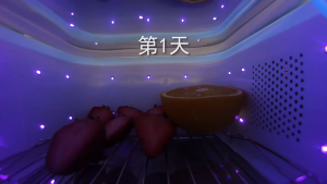 SG【Ready Stock】59 seconds LED ultraviolet mini disinfection box pacifier sterilizer Sterilizing instrument 59-Second Portable UV Sterilizer