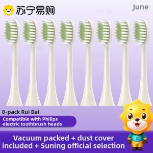 Philips 246K/246S/2452/245T/245E Electric Toothbrush Head Compatible Early June Model L3002 Adult Hardness Deep Cleaning