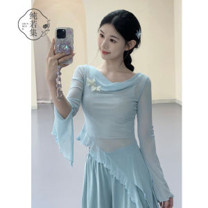Pure If Collective Classical Dance Costume Fairy Long Sleeve Butterfly Net Shirt Modern Dance Practice Uniform Womens Clothing