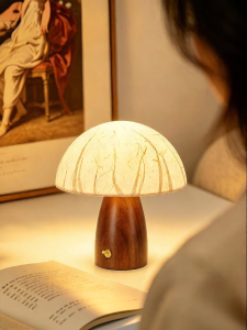 DGY | Cute Japanese Atmosphere Bedside Lamp Night Light