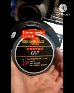 Speaker Woofer 65 inch proton 200 watt 6 ohm ORIGINAL