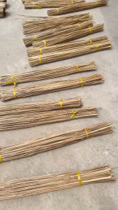Cần câu CHƯA TÓM ( Cây Tre dài 1m1 - dùng để câu cá )