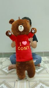 (TẶNG GẤU BÔNG NHỎ) ĐỒ CHƠI GẤU BÔNG GẤU BROWN NẰM ĐÁNG YÊU CUTE