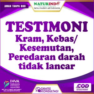 Obat Kesemutan Penyumbatan Pengencer Darah Pembersih Pembuluh Darah Tinggi BV Flow Herbal Ampuh Asli