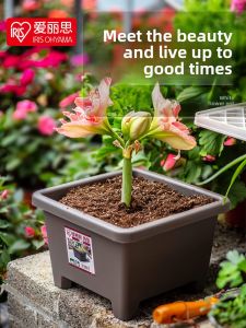 IRIS Flower Pot Thickened Resin Square Ball Root Flower Pot round Mouth Alice Seed Pellet Pot Gardening Root-Controlling Resin Pot