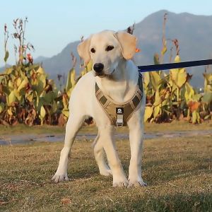 [Stock Ready] Dog Harness Vest Adjustable Durable Comfortable Dog Walking Pet Pet Harness Reflective Dog Harness Vest Safety Lead Straps for Medium Large Dog 狗狗牵引绳 宠物胸背带
