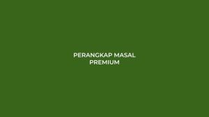 JEBAKAN TIKUS FULL BESI MASSAL DAN SINGLE TRAP DIJAMIN KUAT