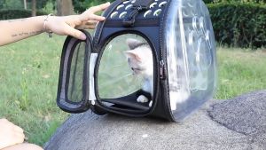 Elegant Light-Weight Kitten Carrier Bag with Breathable Design for Cat 3-7kg