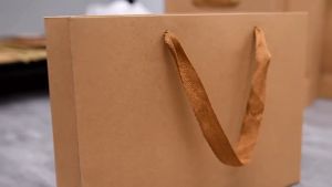 【10pcs】Kraft Paper Bag Plain Rope Handle Gift Packaging Bags High-end Gift Paper Bag