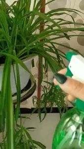 1pc Universal Beverage Bottle Nozzle Garden Manual Watering Sprinkler Outdoor Home Gardening Nozzle