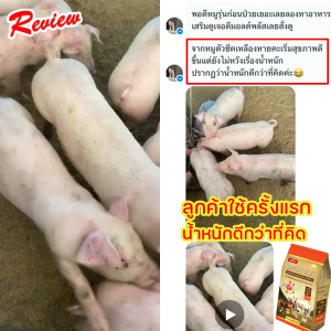 ดีมอลต์พลัส อาหารเสริมสุกร เป็ด ไก่ วัว หนัก 1 กก.จำนวน 5 ถุง