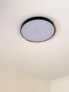 Wooden LED Ceiling Light Modern Lampu Siling Remote Dimmable 3 Color Ceiling Lamp Nordic Flush Mount for Living Room Bed