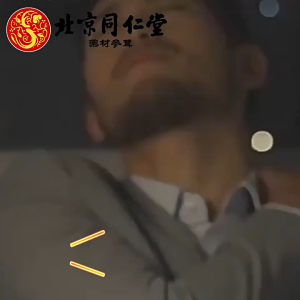 Five Treasure Herbal Tea with Ginseng Mulberry Goji Longan Energy Boost Blend