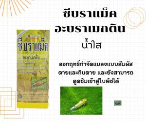 ซีบราแม็ค อะบราเมกติน ขนาด 500ml สาร อะบาเมกติน 1.8 % EC ออกฤทธิ์กำจัดแมลงแบบสัมผัสตายและกินตาย และยังสามารถดูดซึมเข้าสู่ใบพืชได้ ขนาด 500ml