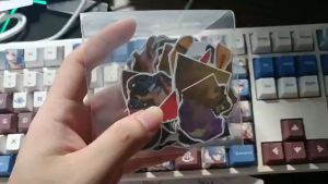 Meme Cheems Dog - Set 10/15/20/25/30 Set Sticker Chú chó cheems hình dán trang trí laptop mũ bảo hiểm vali điện thoại..siêu đẹp chống nước chống xước