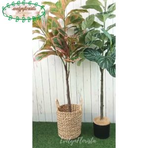 Pohon Imitasi Daun Karet Merah Muda / Hijau Tua X3 T140 Latex Pot Dasar Cover Eceng Gondok Handle Hiasan Rumah