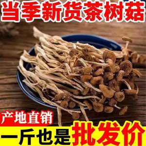 Fresh Tea Tree Mushroom 500g