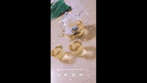 Mulberry  Leaf Tea  桑叶茶 、’清肝明目  、降血糖、降血压、降血脂，具有延缓衰老的功效