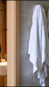 Single Coat Robe Wall Hook