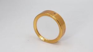 LED Pin Ceiling Lamp 12W 220V Surface Mounted Aluminum Round Downlights Gold Luxury Panel Spotlight for Kitchen Bedroom