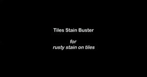 (E-X) Heavy Duty Stain Remover (1000ml) Toilet Bowl Cleaner Bathroom Cleaner Floor Detergent Floor Cleaner Pencuci Tandas Mozek Lantai Household Vanish Kitchen Cleaner Mold Cement Remover Lantai Bilik Air Ceramic Tile Ceramik Mosaic 污渍瓷砖清洁剂地砖清洁