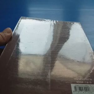 เด็กกำพร้าแห่งสรวงสวรรค์ ผู้เขียน ภาณุ ตรัยเวช