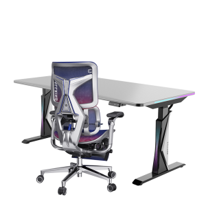 Ergonomic Gaming Chair Large Size